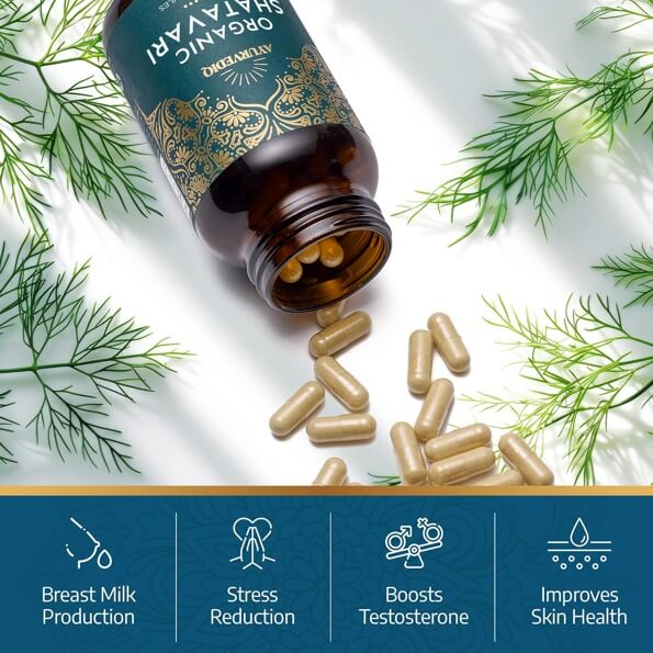 Shatavari Organic 400mg