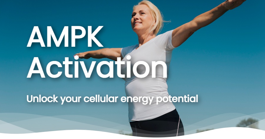 How AMPK Activators Can Boost Mitochondrial Health
