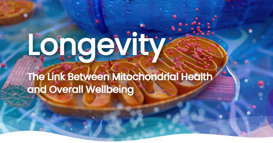 Mitochondria: Powering Longevity, Energy, and Health