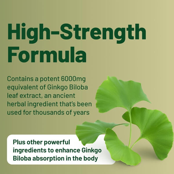 Ginkgo Biloba Extract by Vegan Vitality