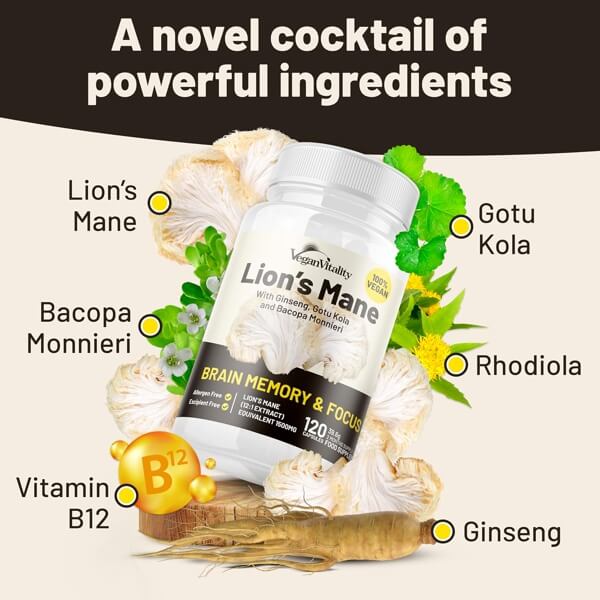 Lions Mane Mushroom Extract