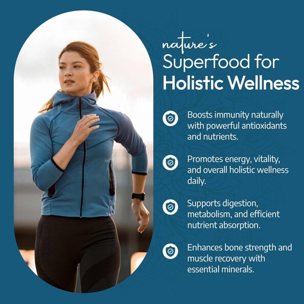 Moringa Organic 500mg