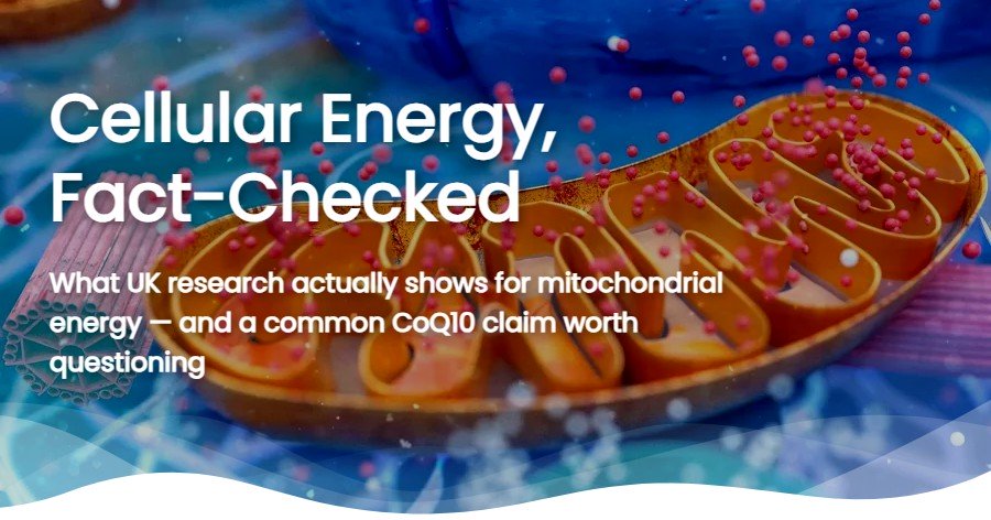 Mitochondria Supplements: What UK Research Actually Shows (2026 Guide)