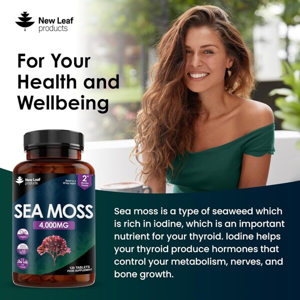 Sea Moss Supplement Marine Superfood