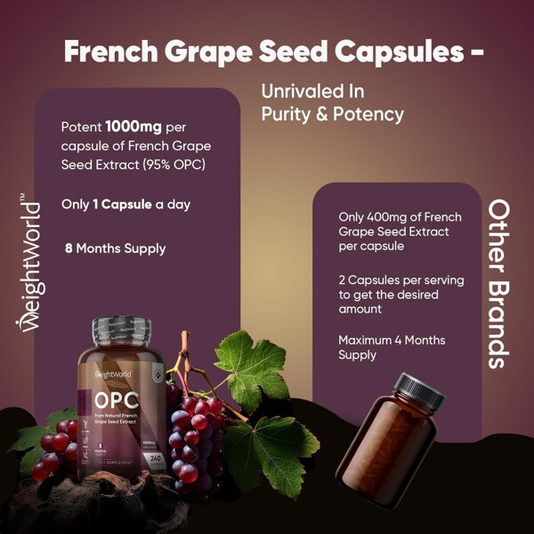 Grape Seed Extract High-Strength Polyphenol