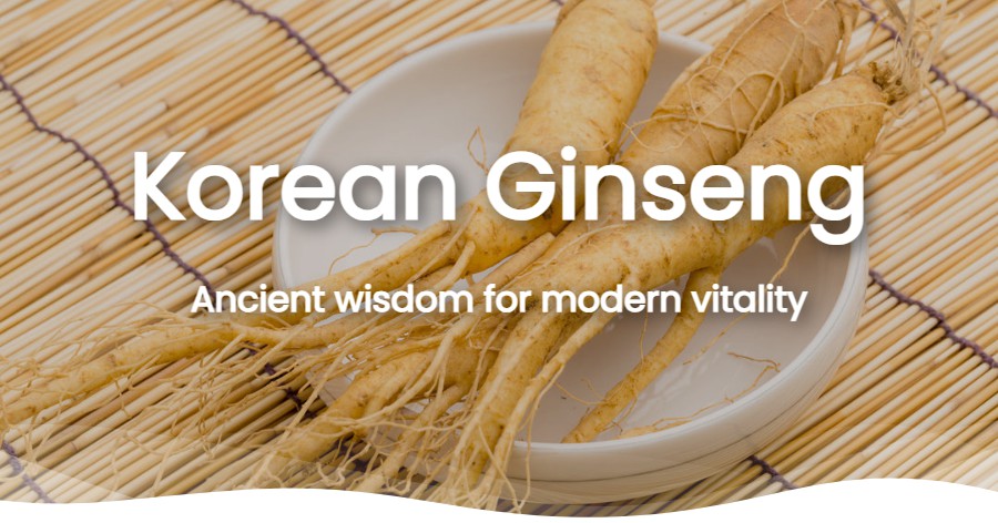 Korean Ginseng: The Ancient Root