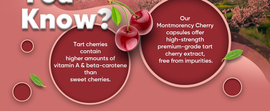 cherry-extract-banner-2