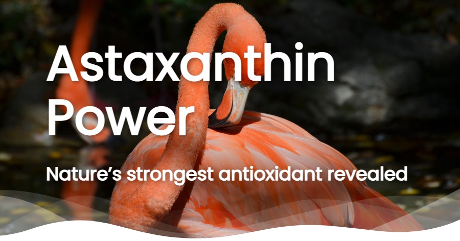 Astaxanthin: The Complete Guide to This Powerful Antioxidant