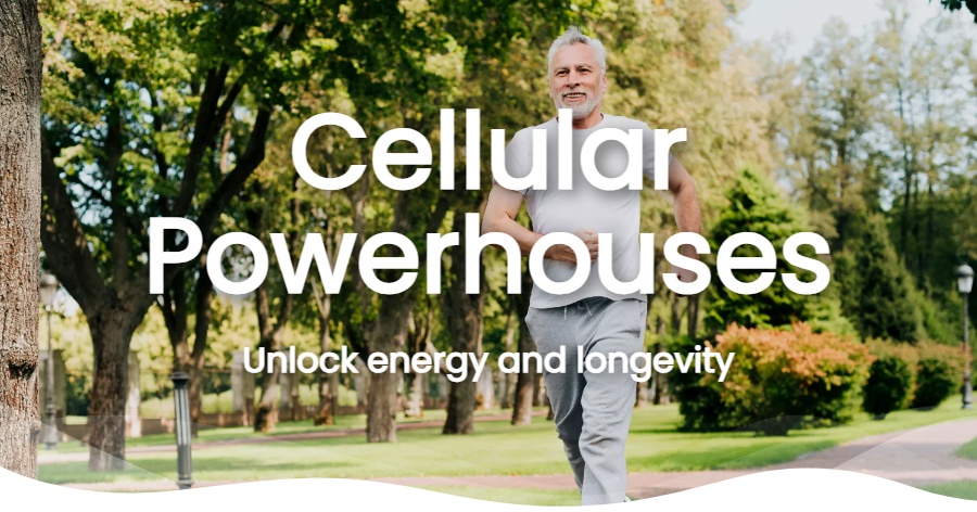 Boost Your Mitochondrial Health