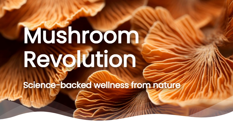 Mushroom Supplements: The Wellness Revolution
