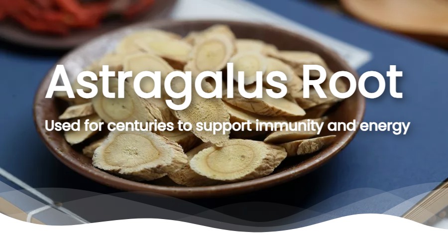 Astragalus Root Supplement