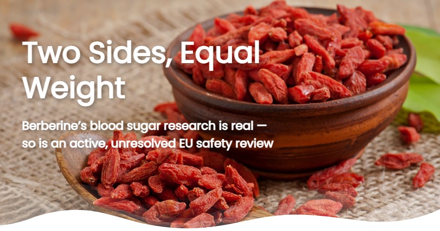 Berberine Supplements UK: What Research and Regulators Say